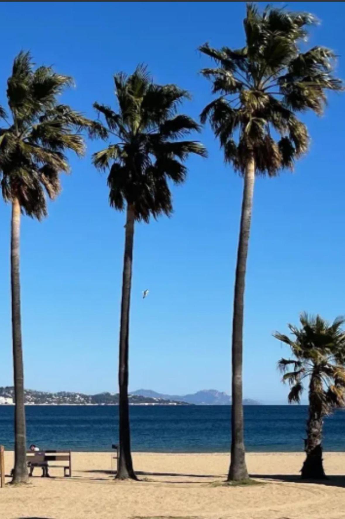 La Vie Est Belle Daire Gassin Dış mekan fotoğraf