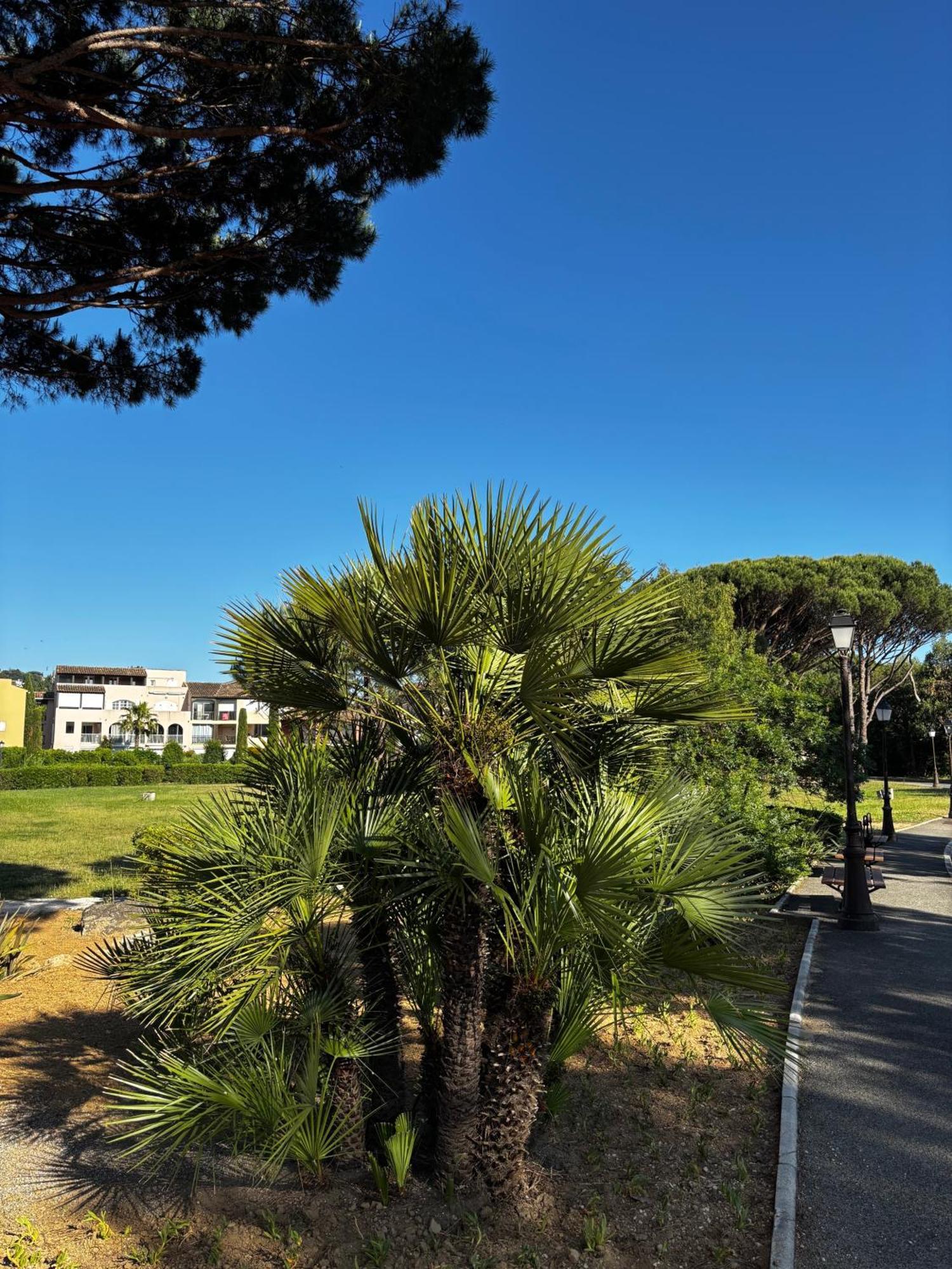 La Vie Est Belle Daire Gassin Dış mekan fotoğraf